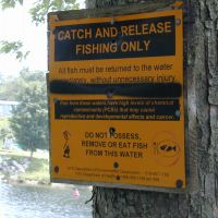 Sign indicating presence of PCBs in fish.
