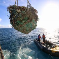 A large pile of fish netting being pulled from the water.