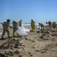 photo of people removing oil-contaminated sand from beach.