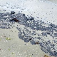 Photo of oil on the beach following the oil spill in Galveston Bay.