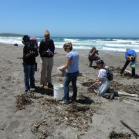 Image of  marine debris monitoring group on the Northern California coastline. 