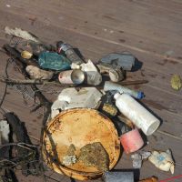 Image of marine debris on a Lake Erie dock.