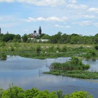 New freshwater marsh with the town of Fairhaven, Mass., in the background.