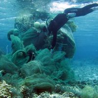 A diver removes a mass of nets from a coral reef near Midway Atoll.