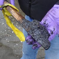Person holding a piece of wood with oily sludge on it.