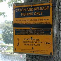 Sign by Hudson River warning against eating contaminated fish.