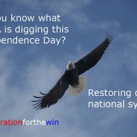 Bald Eagle in flight with text, Restoring our national symbol.