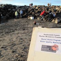 Volunteers sample mussels at a rocky beach with a sign in the foreground.