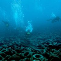 Divers work to remove tires from Osborne Reef in Broward County, Florida.