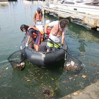 Volunteers in a boat pull debris from the waters of Honolulu.