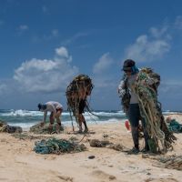 Removing ghost nets from the shoreline of Kamole (Laysan island) (Credit: Andrew Sullivan-Haskins, Papahānaumokuākea Marine Debris Project)