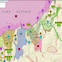 A sample map showing the location and extent of biological resources for a portion of the Environmental Sensitivity Index (ESI) data for Lake Ontario.