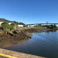  View of current conditions at General Recycling property from the shoreline.