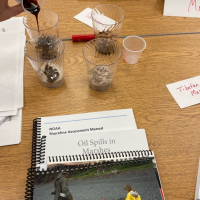 A hand is observed pouring oil into a plastic cup of sediment. A pamphlet titles "Oil Spills in Marshes" is also observed.