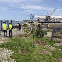 Southwest Yard Habitat Restoration Project project at Vigor Industrial shipyard on Harbor Island. This 2.7-acre project transformed part of a working waterway slip into an integrated off-channel marsh, intertidal, and riparian habitat benefiting fish, shorebirds, and other wildlife. 