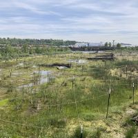 Duwamish River People’s Park (Terminal 117, T117), a restoration bank project managed by the Port of Seattle showing 5.5 acres of restored marsh and native riparian shoreline. 