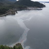 Oil sheen, containment boom, and deflection boom in Starrigavan Bay on April 23, 2017. Image credit: U.S. Coast Guard.