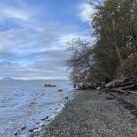 A Washington shoreline.