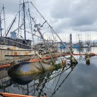 The NOAA Marine Debris Program, through a competitive BIL grant award to the National Marine Sanctuary Foundation, will remove abandoned and derelict vessels (ADV) grounded in the Makah Marina.