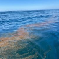 An offshore oil slick.