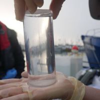 A tube of early stage fish is held by an individual's hands.