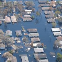 Houses, trees, and powerlines in a New Orleans neighborhood flooded by Hurricane