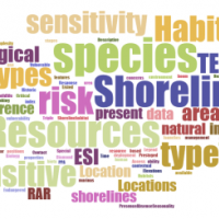 Word cloud showing most frequently used words by ESI survey respondents.