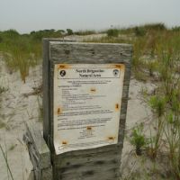 Weathered sign, "reading North Brigantine Natural Area," among beach grasses.
