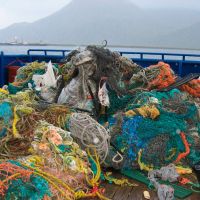 Derelict fishing nets collected in Alaska.