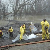Workers collect oiled debris following the oil spill.