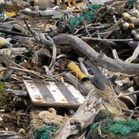 Marine debris and driftwood on Hawaii beach.