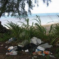 Beach litter in Puerto Rico.