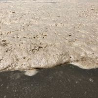 Emulsified oil on a beach.