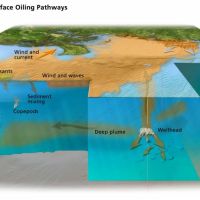 A diagram of an oil spill.
