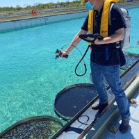 A person holding an instrument over an oiled area of water.