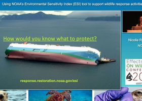 A screenshot of a presentation.