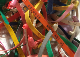 A pile of plastic bands.