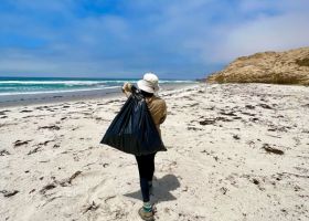 A person holding walking on a beach with a trash bag.