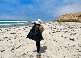 A person walking on a beach with a trashbag.