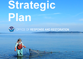 Photo of a staff member holding a net in water for OR&R’s 2024-2028 Strategic Plan cover photo. 