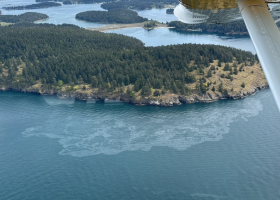 Aerial photo taken from a plane of an island with oil sheen observed off its coast.