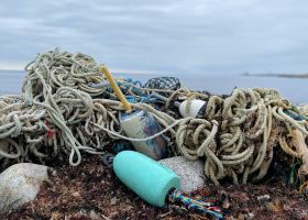 A tangle of rope and other debris on a beach.