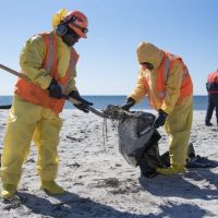 On a beach, response workers shovel debris into a bag.