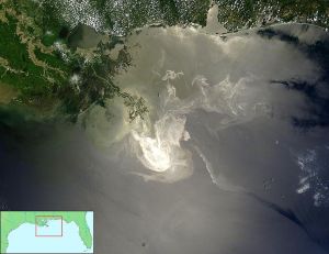 A satellite image of the Gulf of Mexico with a white anomaly in the water.
