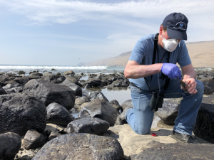 NOAA OR&R response specialist John Tarpley collects an oil sample from boulders on a beach impacted by the spill. Image Credit: NOAA/Brandi Todd
