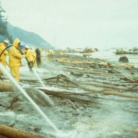 Clean up workers spraying an oiled beach.