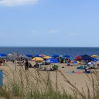 A sea of people on a beach sitting under differently colored umbrellas.