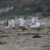 Cleanup workers on a beach.