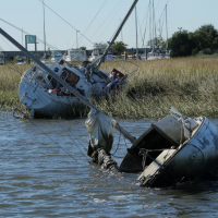 Two derelict vessels in a marsh area.