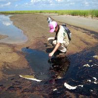 Person next to a patch of oil on a beach.